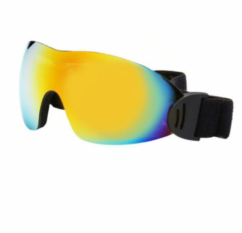 Ski Spherical Double Layer Goggles
